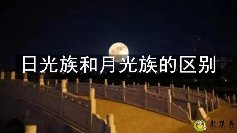 日光族和月光族的区别