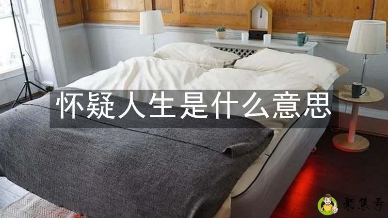 怀疑人生是什么意思