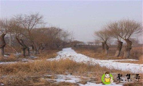 冬天雪化得较慢的一面是什么面