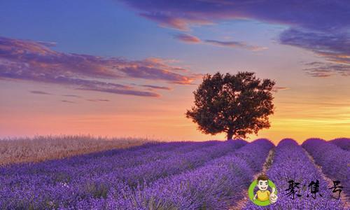 普罗旺斯在哪里