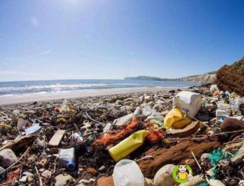 洋垃圾在中国如何处理的