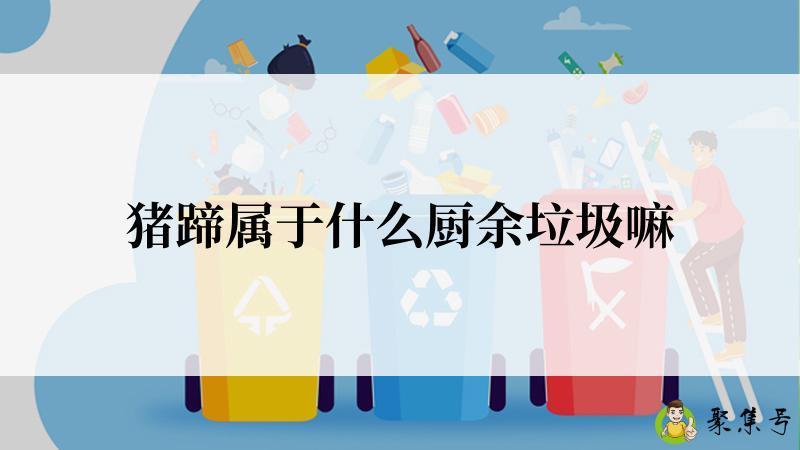 猪蹄属于什么厨余垃圾嘛