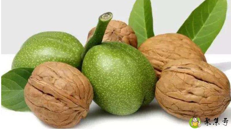 青皮核桃几月份成熟