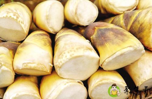 玉兰片和竹笋有什么区别