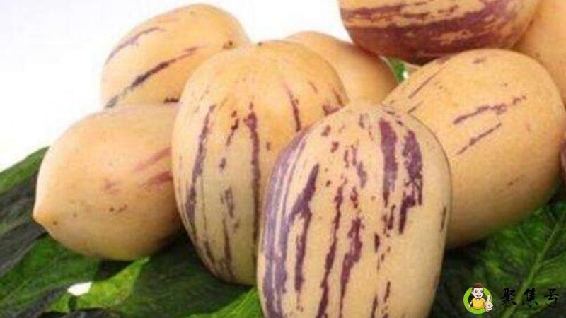 人参果需要放软再吃吗