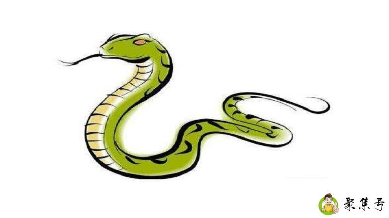 蛇见羊哭断肠什么意思