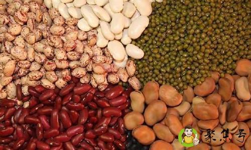 豆子有多少种