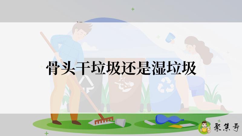 骨头干垃圾还是湿垃圾