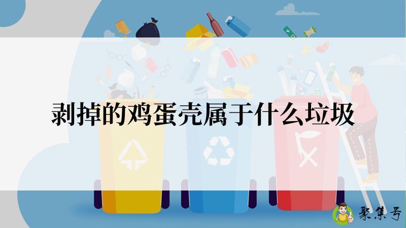 剥掉的鸡蛋壳属于什么垃圾