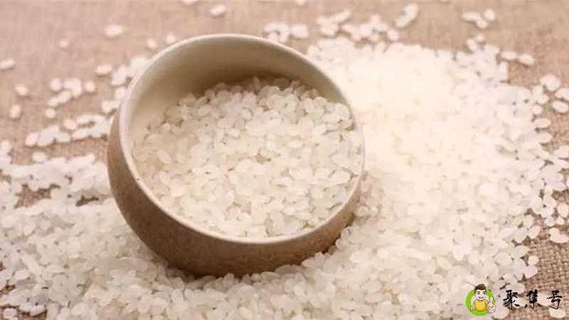 晚籼米是什么意思