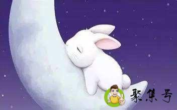 水如碧玉山如黛是什么生肖