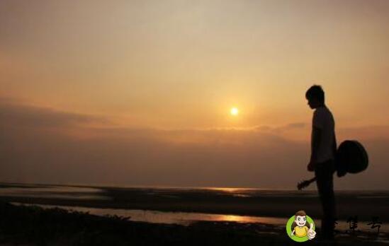 大抵知心有庭树,亭亭一如你风致什么意思