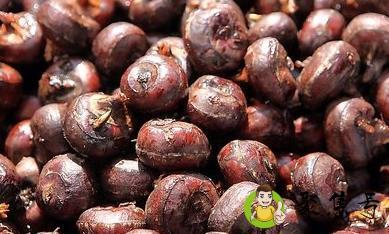 详细阅读:荸荠怎么去皮快 荸荠怎么去皮快