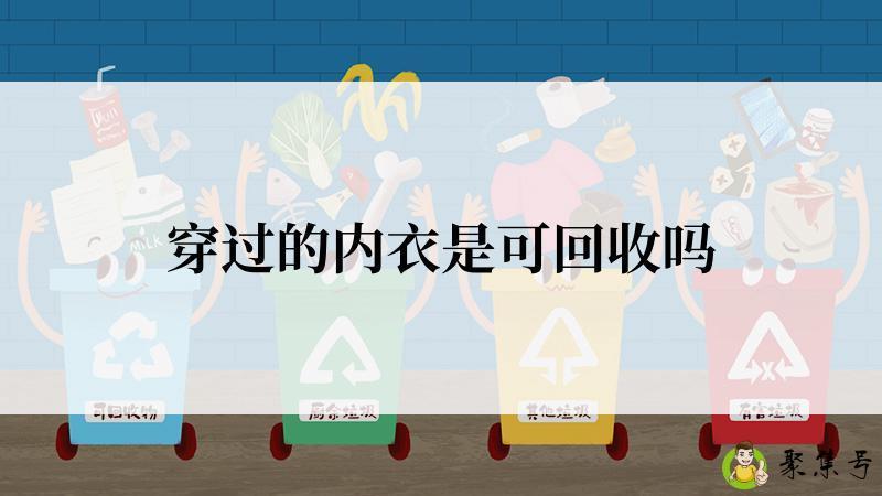 详细阅读:穿过的内衣是可回收吗 穿过的内衣是可回收吗