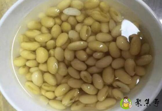 详细阅读:黄豆水浇花比例 黄豆水浇花比例