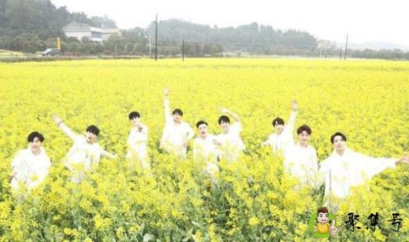 什么是粉丝什么是关注