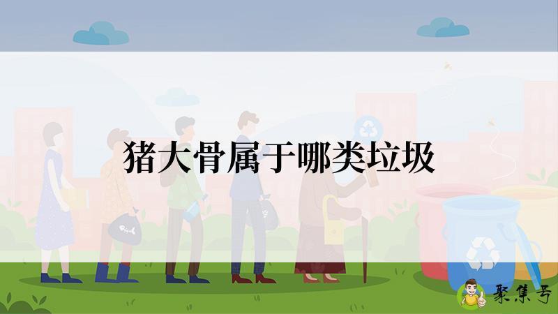 猪大骨属于哪类垃圾