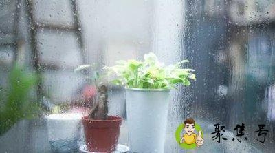 知世故而不世故下一句