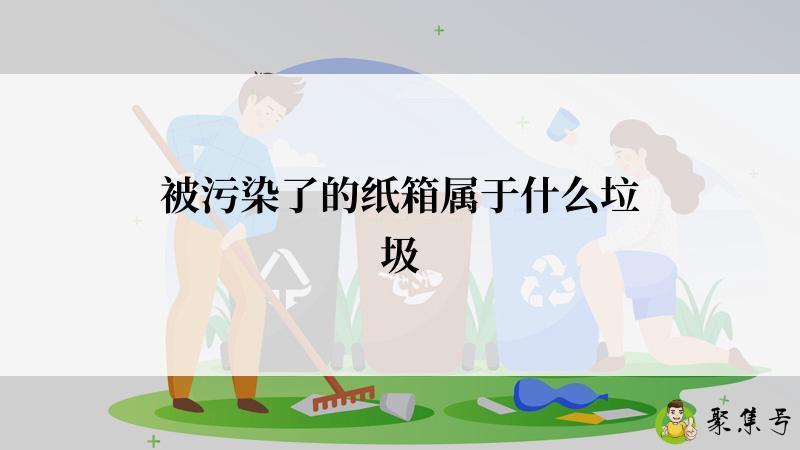 被污染了的纸箱属于什么垃圾