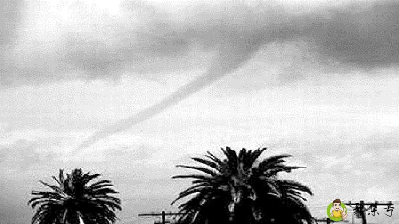 八级风有危险吗