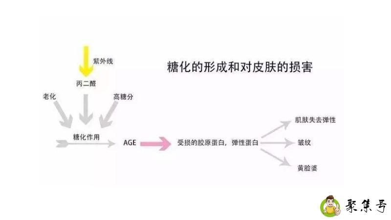 gi和gl值是什么意思