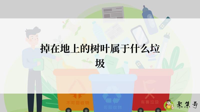 掉在地上的树叶属于什么垃圾