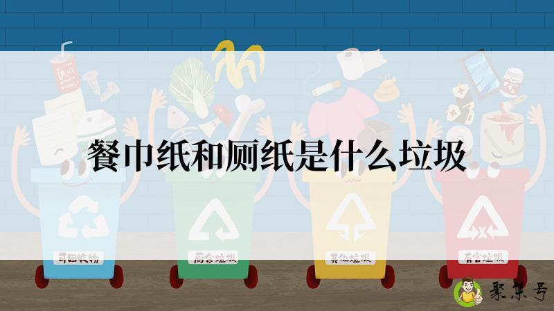 餐巾纸和厕纸是什么垃圾