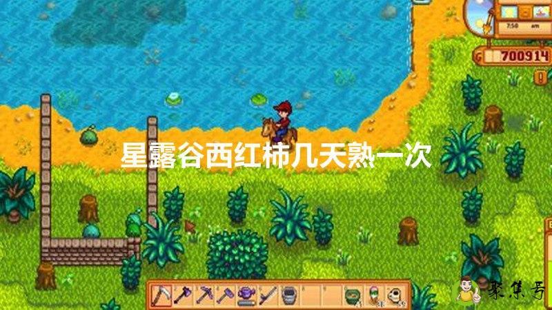 星露谷西红柿几天熟一次