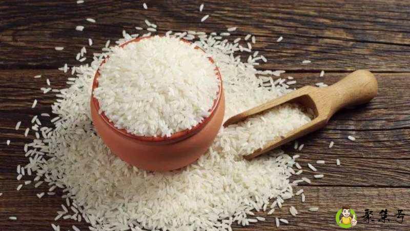 冷水米和普通米的区别
