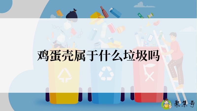 鸡蛋壳属于什么垃圾吗