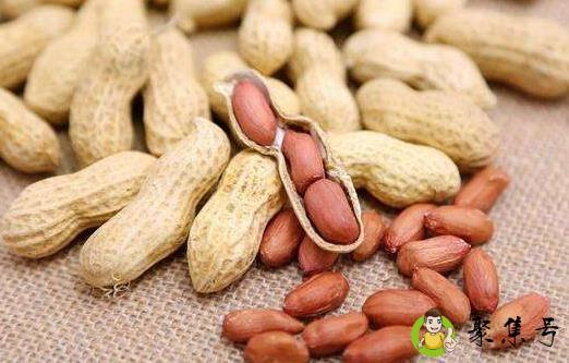 花生壳是干垃圾吗