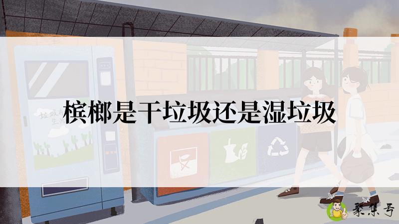 槟榔是干垃圾还是湿垃圾