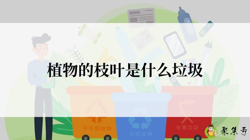 植物的枝叶是什么垃圾