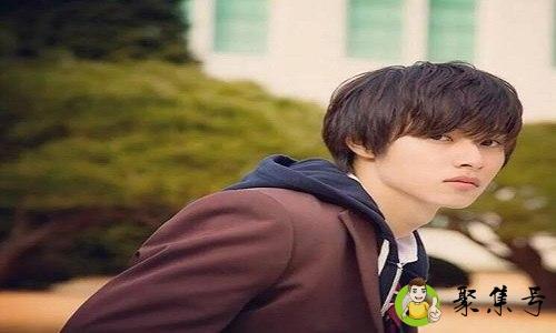 草食系男生是什么意思