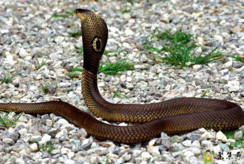 详细阅读:风平浪静是什么肖 风平浪静是什么肖