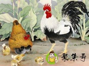 详细阅读:龙凤午是什么动物 龙凤午是什么动物