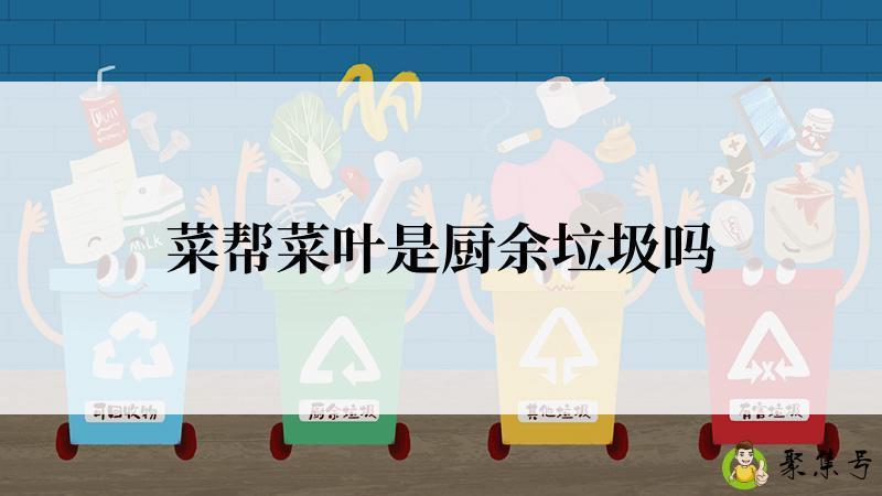 菜帮菜叶是厨余垃圾吗