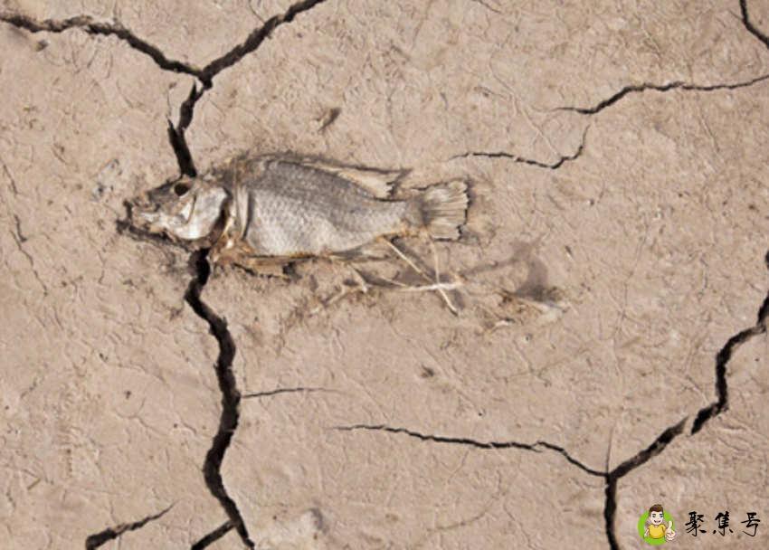 鄂尔多斯土地沙化面积大的原因