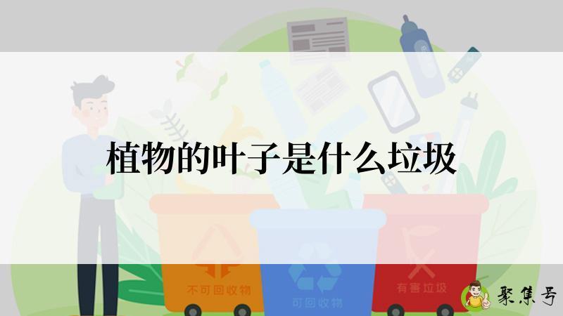 植物的叶子是什么垃圾