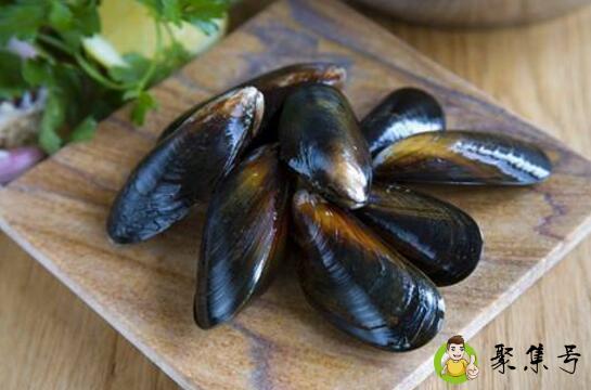 海虹和青口的区别