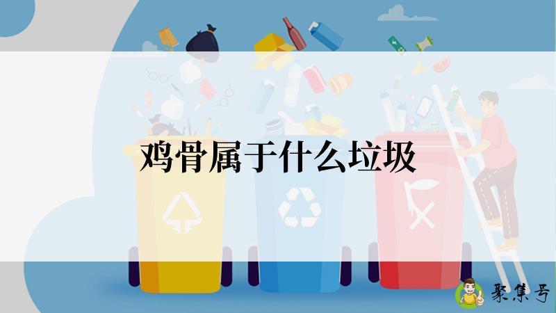 鸡骨属于什么垃圾