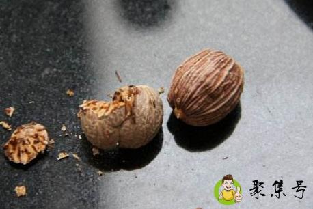 草果和肉蔻的区别