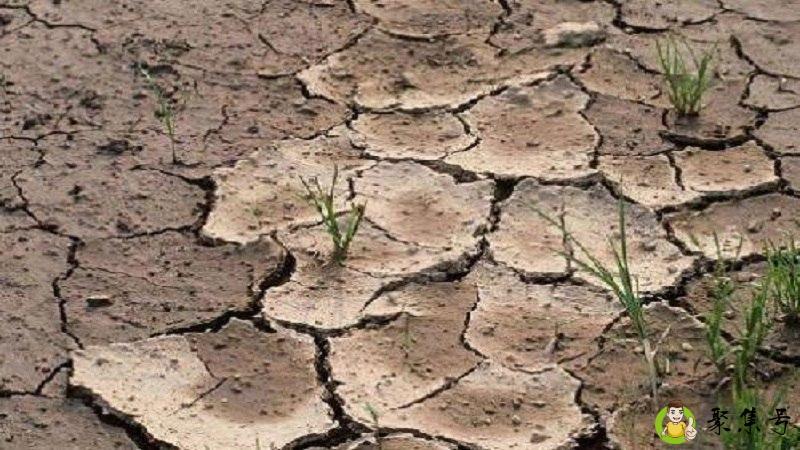 结皮是什么意思