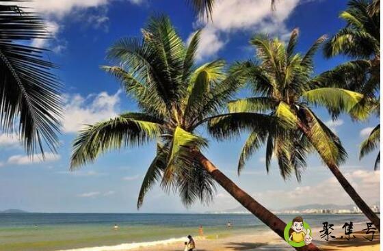 热带季风气候和热带草原气候的区别