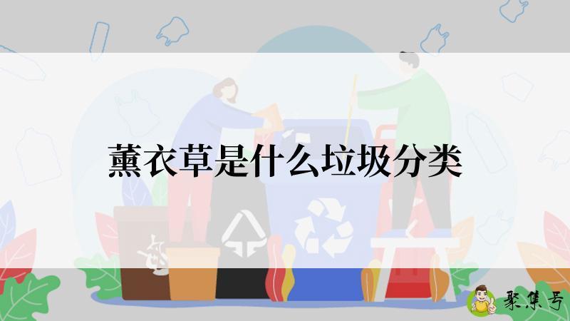 薰衣草是什么垃圾分类