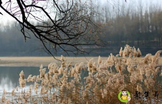 详细阅读:秋波流转最留人的意思 秋波流转最留人的意思
