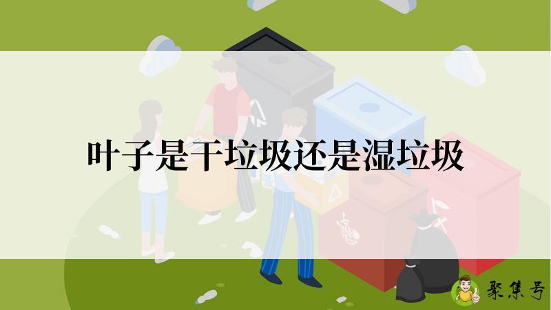 详细阅读:叶子是干垃圾还是湿垃圾 叶子是干垃圾还是湿垃圾