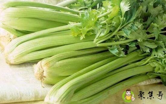 详细阅读:芹菜保存新鲜办法 芹菜保存新鲜办法