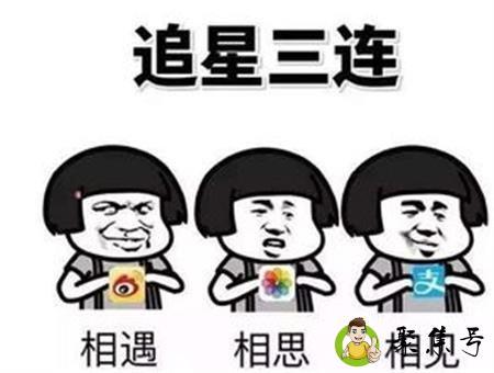 饭圈用语zl什么意思