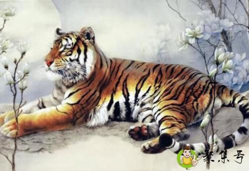 二四靠着出是什么生肖